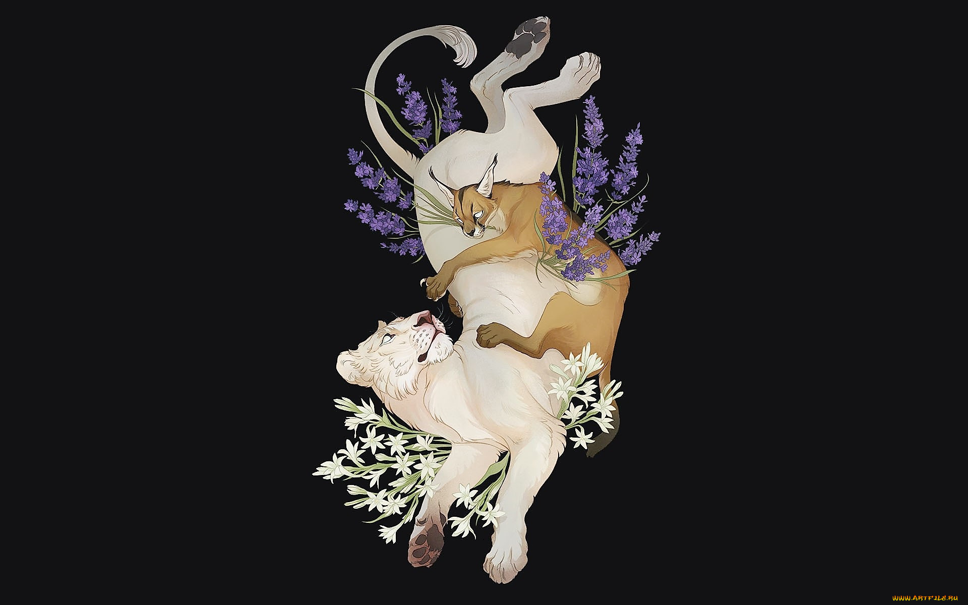 , , , , 